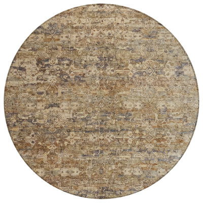 Machine Washable Indoor/Outdoor Hashlamoun ACN2324 Ikat Rug