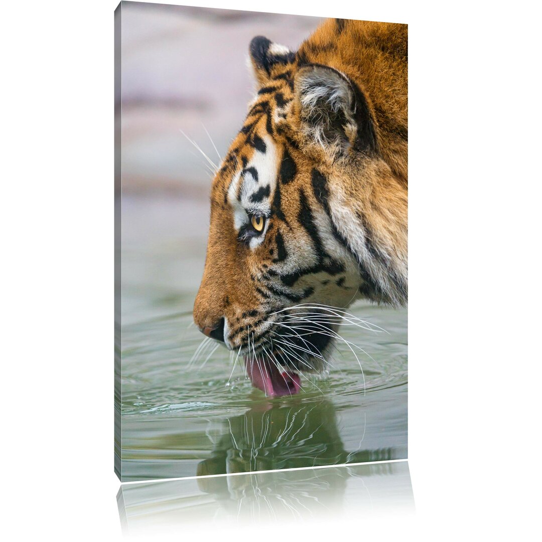 Leinwandbild Tiger am Wasserloch