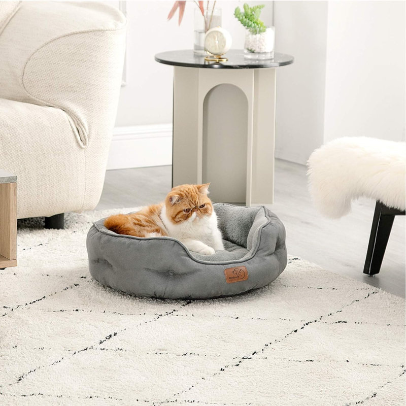 Lit pour animal de compagnie avec traversin, Gris, Petit (L 20 po x l 19 po)