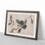 Branch of a Fruit Tree by Shen Zhou - Picture Frame Painting Print-55512754-55512755