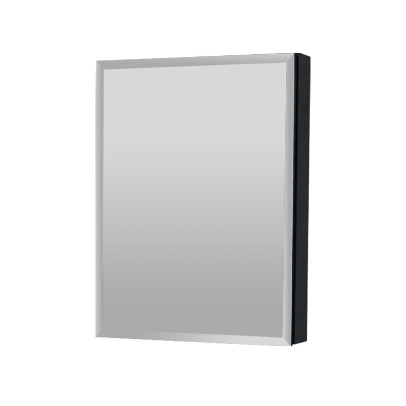 Armoire à pharmacie en aluminium Adine, H 30 po x l 19 po x P 3,75 po, Noir