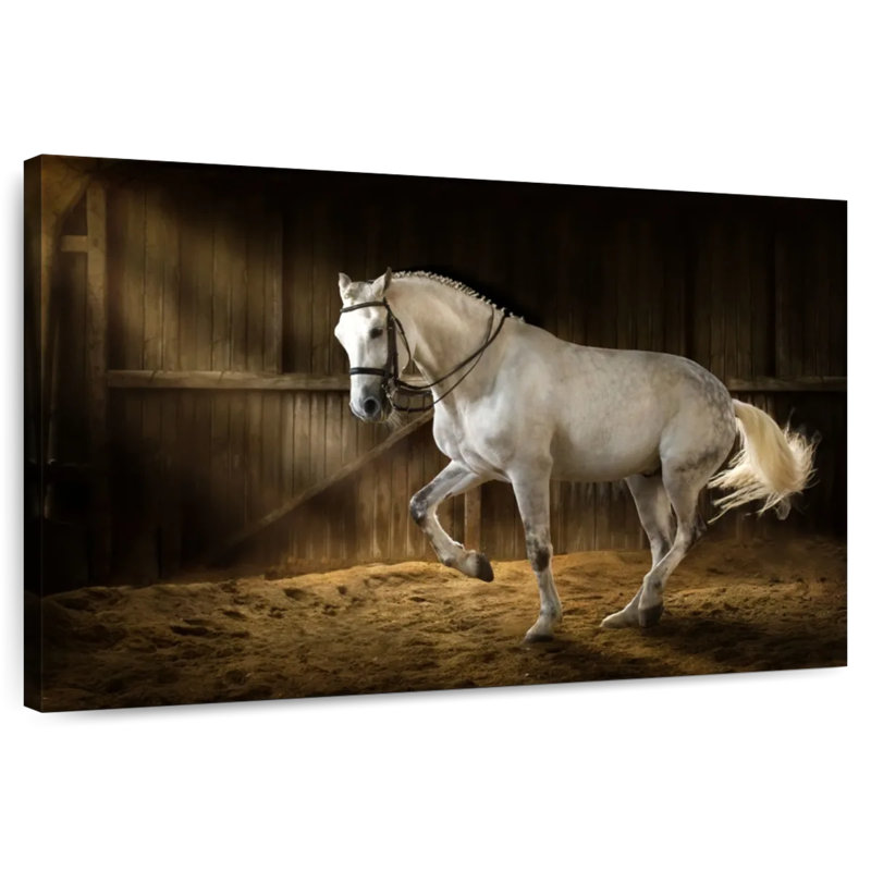 Brampt Mare