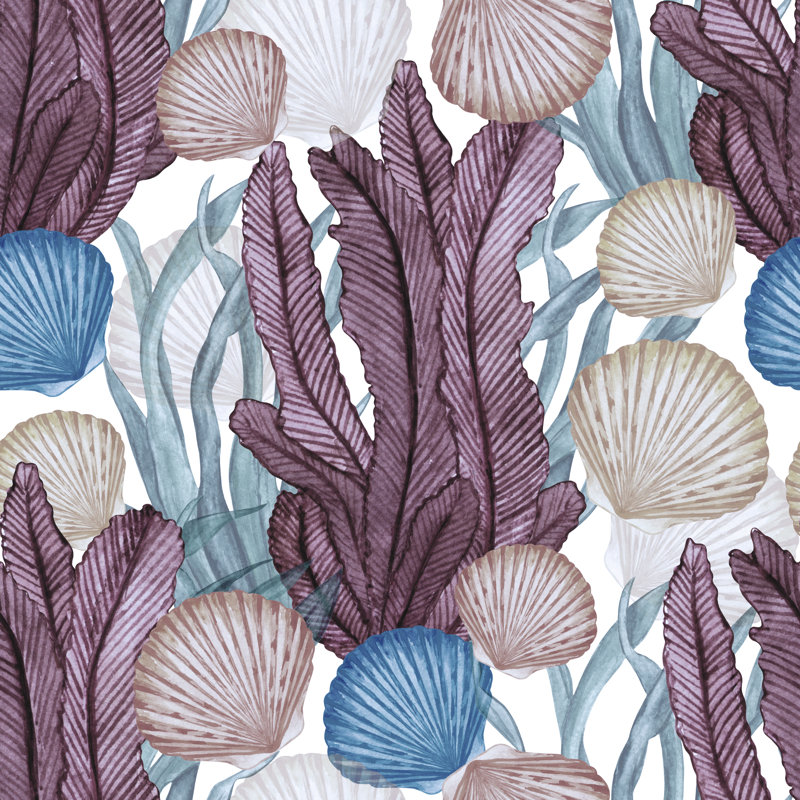 Sea Shells, Seaweed by Color_Brush - Wrapped Canvas Print, 76cm H x 76cm W x 3.8cm D