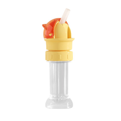 Water Bottle Water Bottle  Conversion Cover With Straw