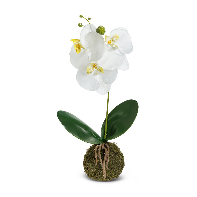 Orchidée blanche avec fleur artificielle, Blanc