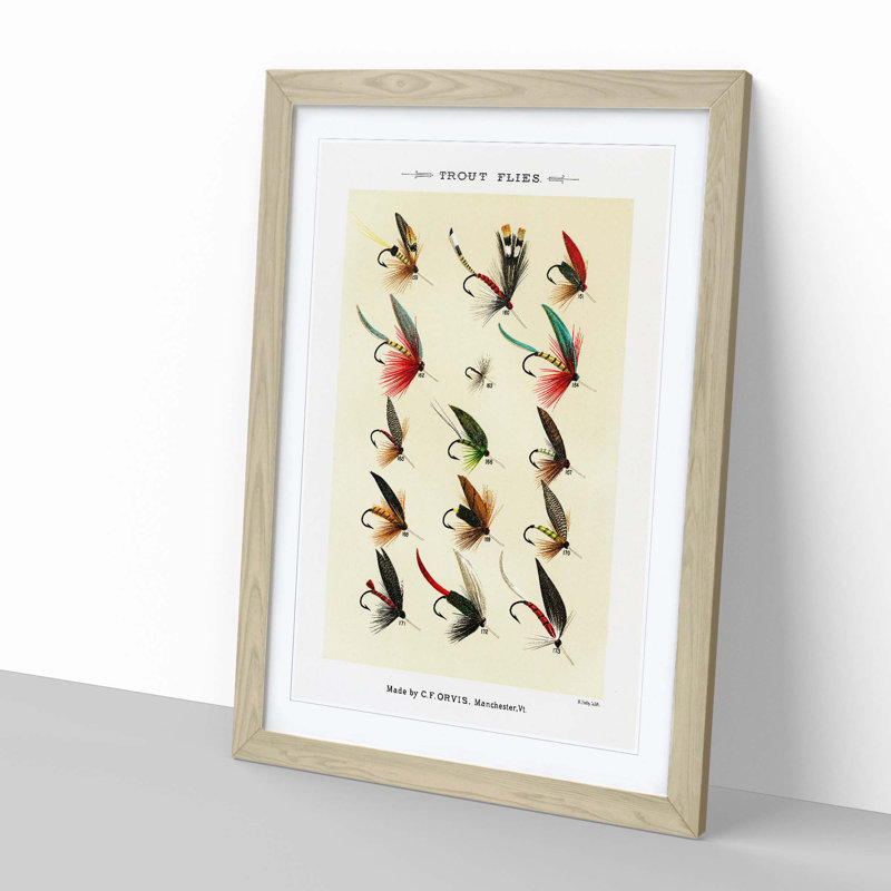 Trout Fishing Flies Version 9 by Mary Orvis Marbury - Picture Frame Painting Print, 50cm H x 35cm W x 2cm D, Oak