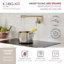 Modern Faucet Stylish Two-Handles Wall Mount with Single Hole Pot Filler-72222608
