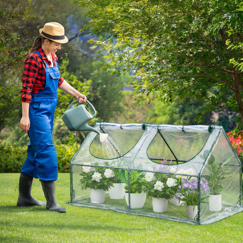 Aoodor Outdoor Mini Greenhouse, 23" H x 47" W x 23" D, Clear