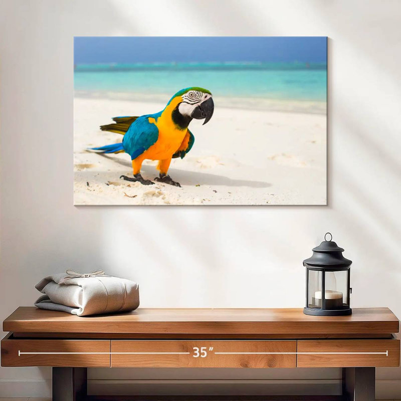 Brampt Macaw On White Sand, 16" H x 24" W