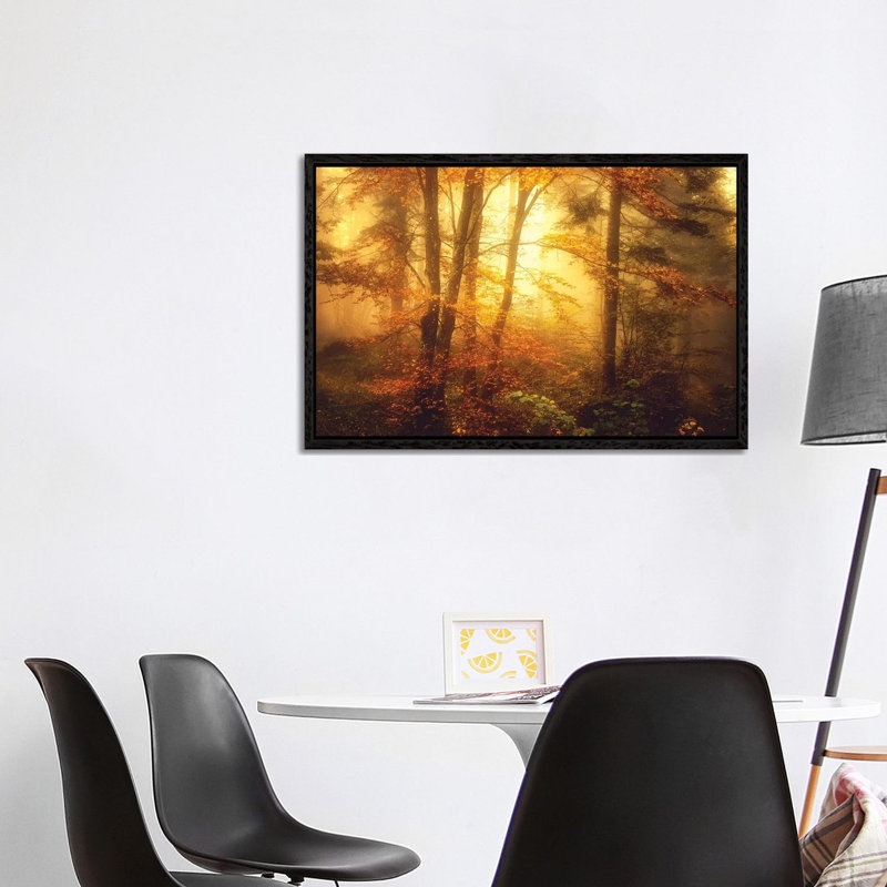 Mystic Fog by Philippe Sainte-Laudy - Print on Canvas, Black Framed, 101.6 cm H x 66.04 cm W