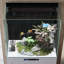 Réservoir d'aquarium sans bord et sans tuyau-1111203071