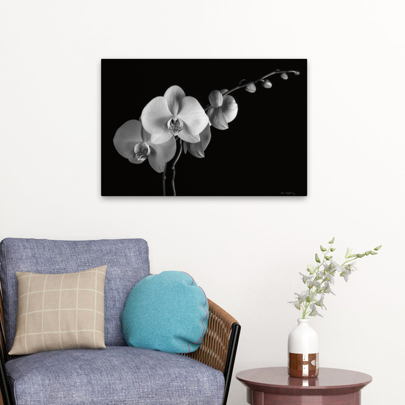 Florals Flowers - Moth Orchids II, H 16 po x l 24 po