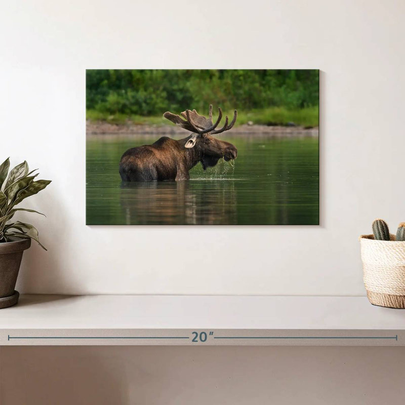 Fishercap Lake Moose, 8" H x 12" W
