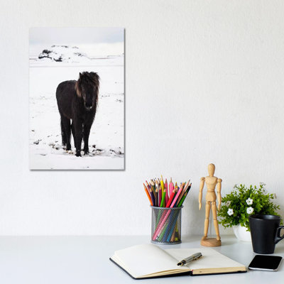 Icelandic Pony In Winter Snow by James Vodicka - Wrapped Canvas Gallery-Wrapped Canvas Giclée