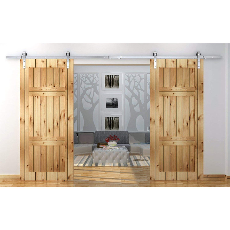 Stainless Steel Double Door Barn Door Hardware Kit Standard Double