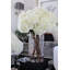 White Hydrangeas In Clear Glass Cylinder Vase-875334990-875334977