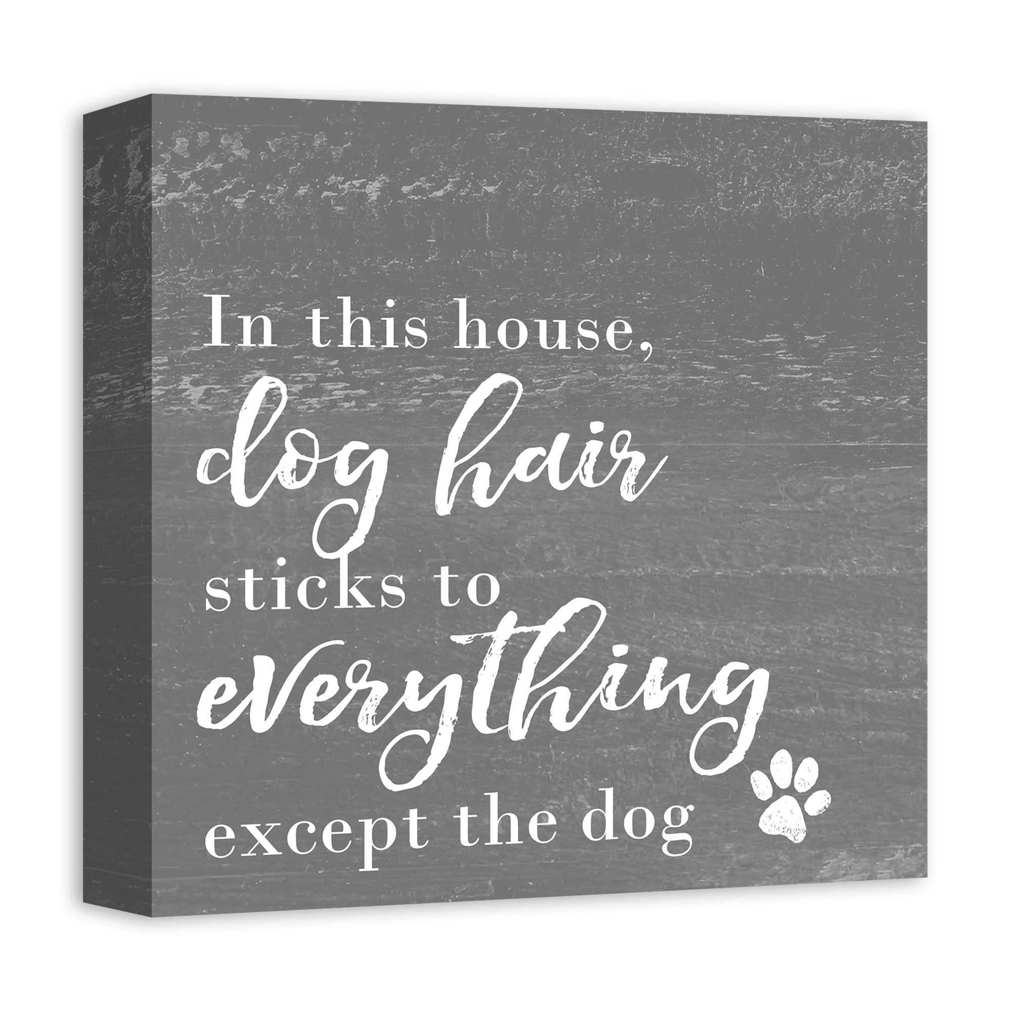 Trinx Dog Hair Sticks To Everything On Canvas Textual Art Wayfair