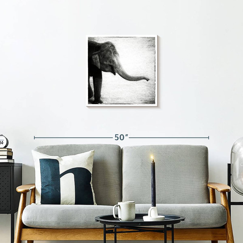 Crowle Baby Elephant Monochrome, 20" H x 20" W