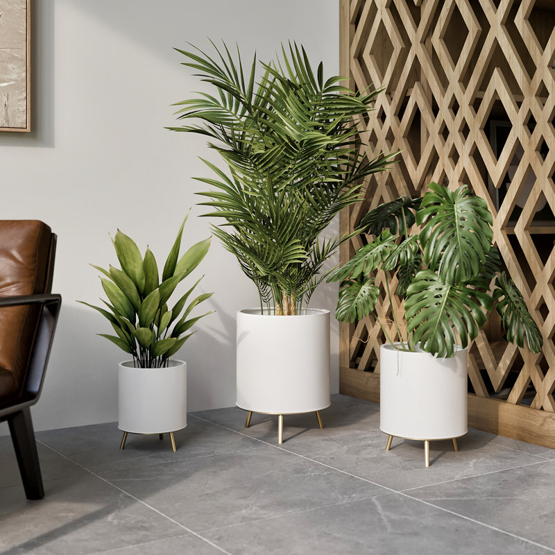 Pot Ciardha Raya avec base dorée Nyra, 10,50 po x 8 po x 8 po