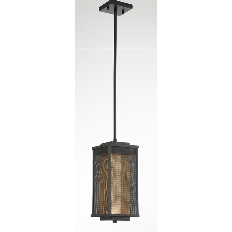 Brama LED Outdoor Pendant Light, Black