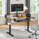 48"Home Office Height Adjustable Standing Desk,Computer Desk With Keyboard Tray, Power Outlets, Led Lights & Monitor Shelf,Usb Ports And Hooks