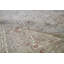Hand-Knotted High-Quality Light Green Area Rug