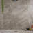Esperanza 35.43 In. X 35.43 In. Matte Porcelain Floor And Wall Tile (17.43 Sq. Ft. / Case)-103001574
