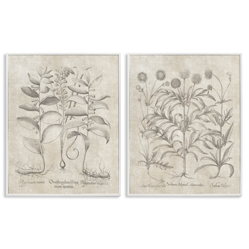 «Soft Botanical Study», ensemble de 2 giclées encadrées par lettre et doublure, Giclée encadrée blanc bord de mer