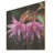 Garden Purple Hardy Fuchsia Plants III - Fuschia On Wood Print-1353949795