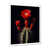 White Single Picture Framed