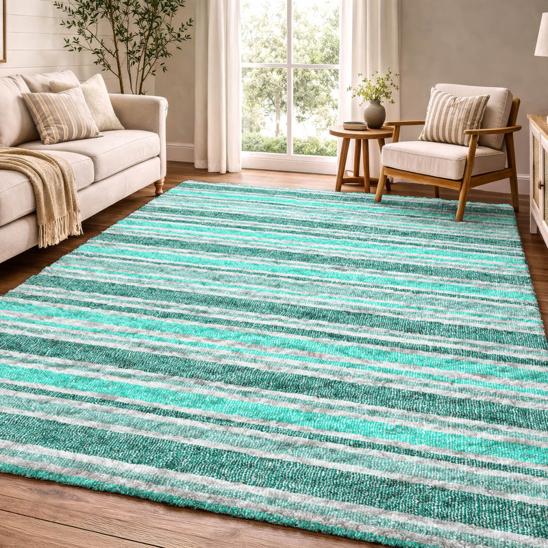 Tapis à poils longs de qualité supérieure lavable à la machine Dream ADS531, Turquoise, 5 pi x 7 pi 6 po