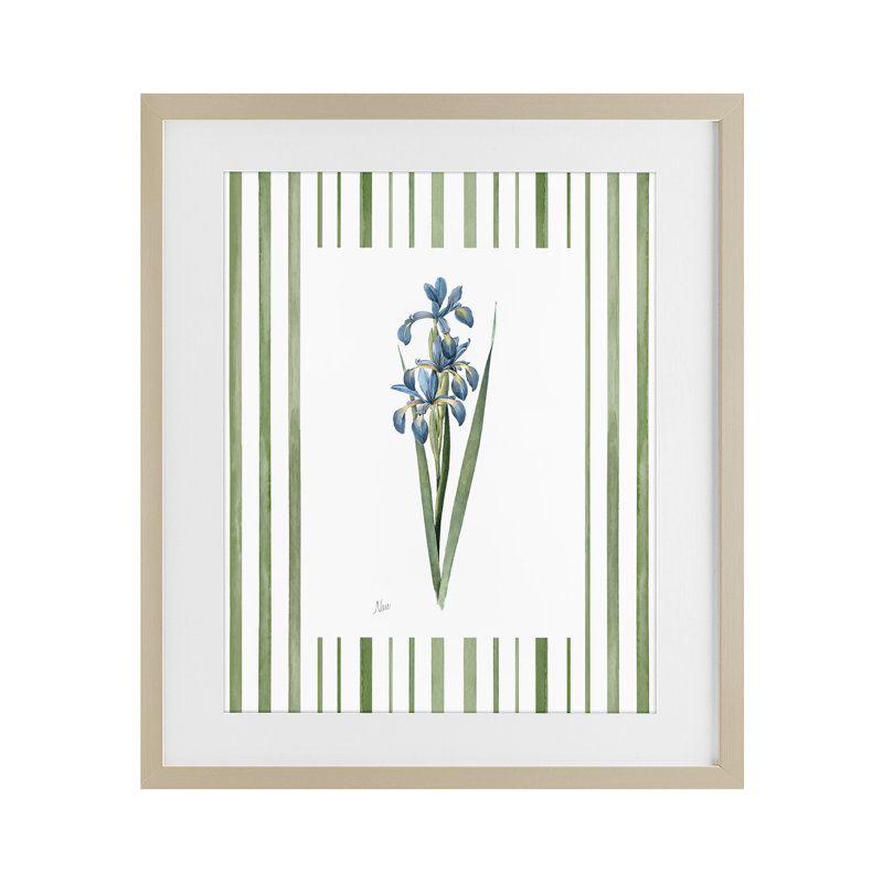 Printemps Iris avec rayures, reproduction encadrée sous verre, design par Nan, Cadre de récolte en pin, H 16 po x l 13 po
