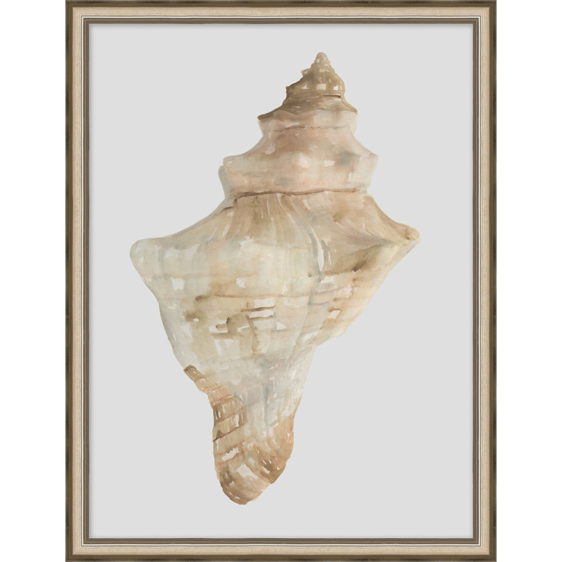 Watercolor Sea Shells 4 Print