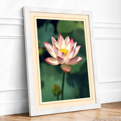 Floating Water Lily Botanical - Framed Print