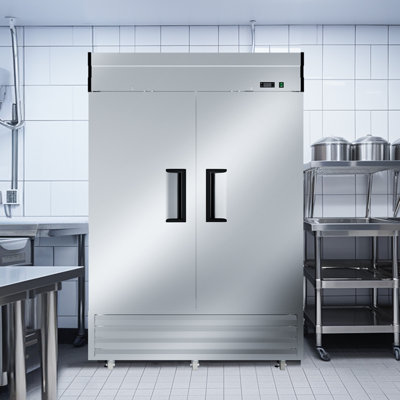 Bluelinetech 49 Cubic Feet Reach-In Refrigerator - 54.17''