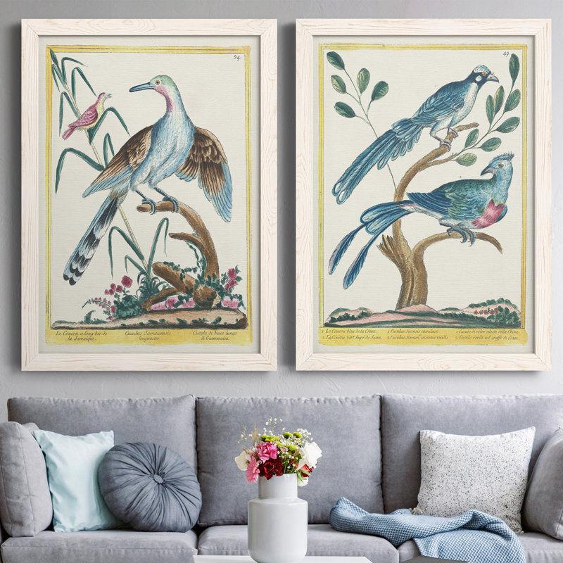 Toile encadrée Pastel Birds V Premium - prête à être accrochée, H 20 po x l 34 po x P 1,5 po, Toile avec cadre blanc