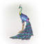 Statue paon Divesh