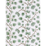 Pignoli Wallcovering