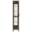 Howard Miller Quinn III Curio Cabinet, Aged Java