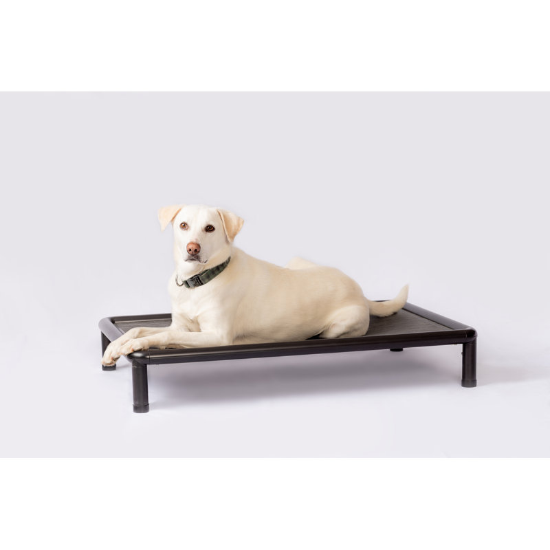 Lit pour chien Cooling, Noir/gris, H 6,75 po x l 26,5 po x P 40,5 po