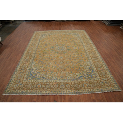 Traditional Area Rug 10x13