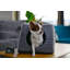 Polyester Igloo Style Dog House