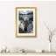« loup » par paul haag-impression sur image-49716990-49716995