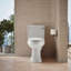 Devonshire Comfort Height 1.28 gpf Two-piece Elongated Toilet-2511323-108190800