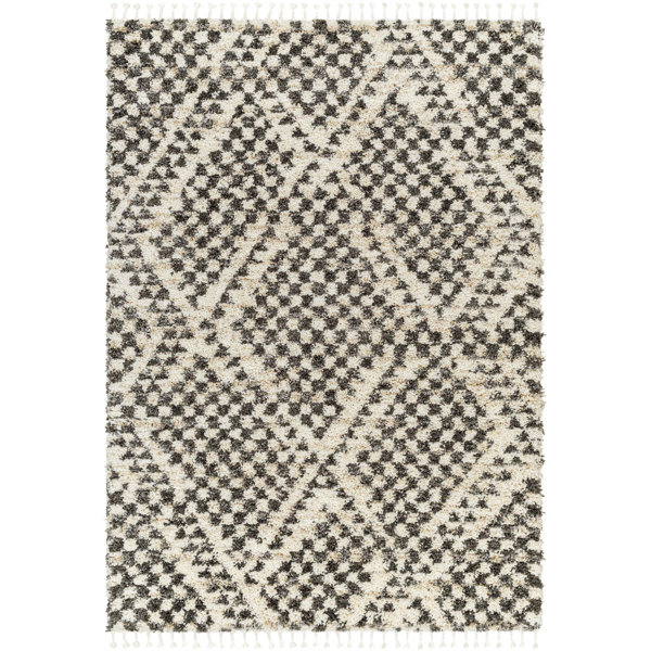 Foundry Select Southwestern Rug | Wayfair