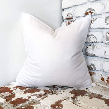 Alwyn Home Roisin Pillow Insert & Reviews