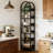 Versatility Display Shelf,Compact Bookshelf,Arched Corner Bookcase
