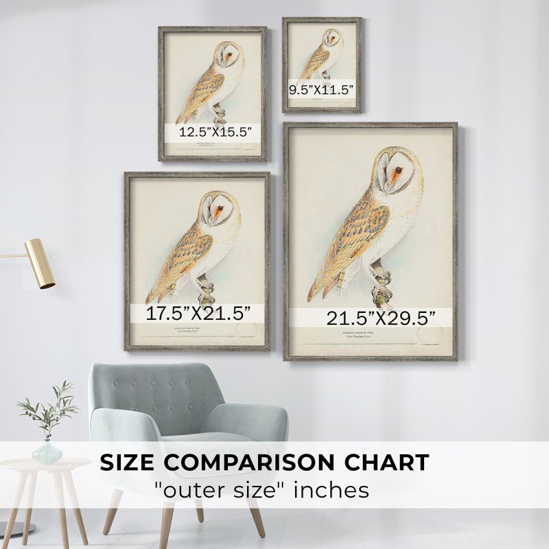 Barn Owl Framed Print - Solid Wood, 15" H x 12" W