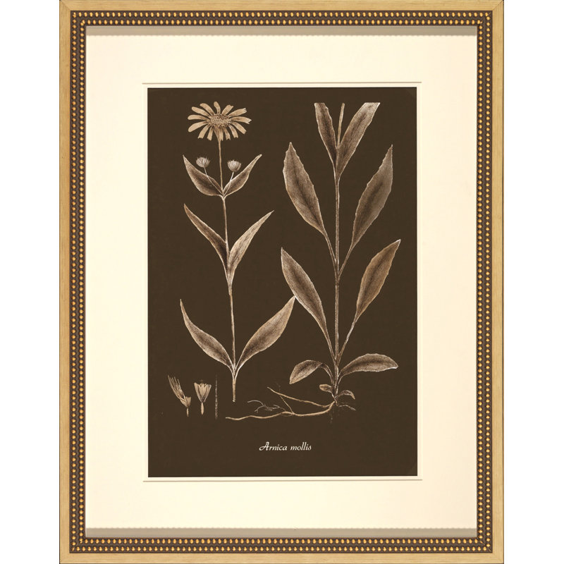 Sepia Leaves On Chocolate IV Painting