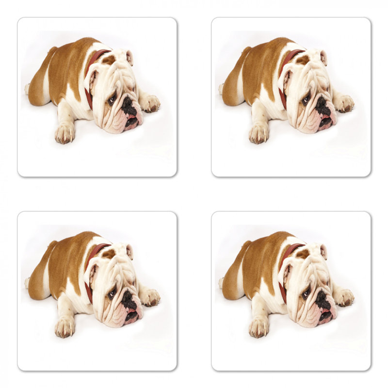 Square 4 Piece Coaster Set